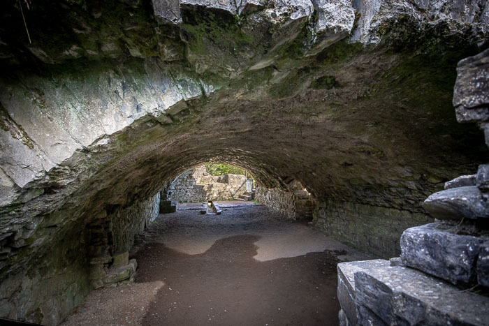 Trim and Trim Castle