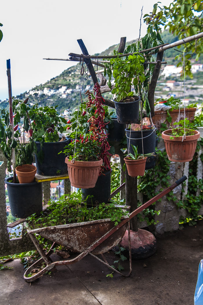 Agriturismo Monte Brusara