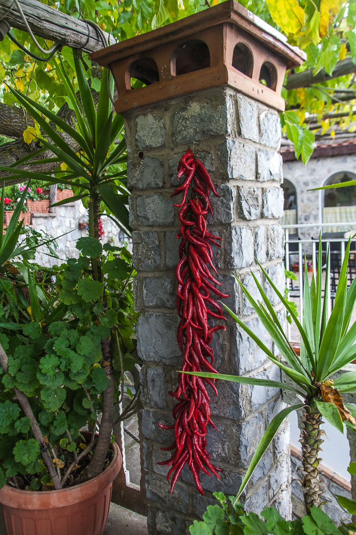 Agriturismo Monte Brusara