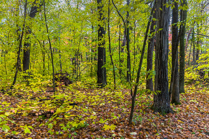 Devil's Lake State Park