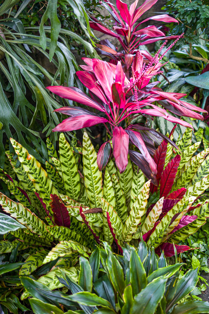 Mitchell Park Domes