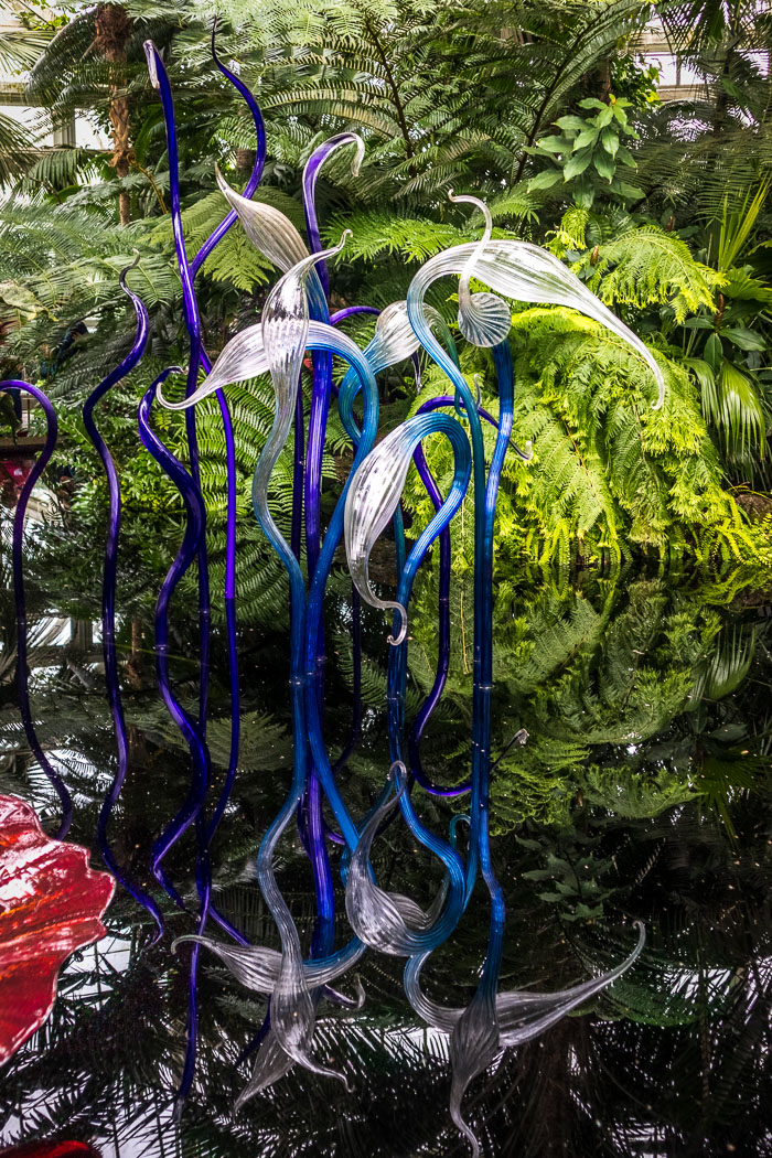 New York Botanical Gardens
