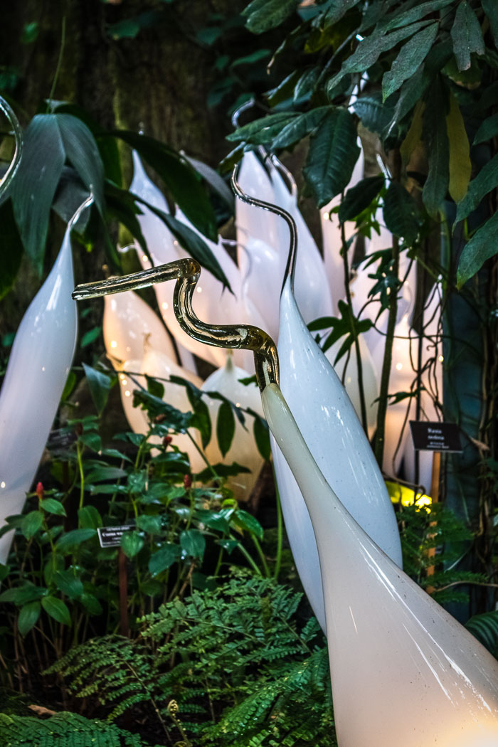 New York Botanical Gardens