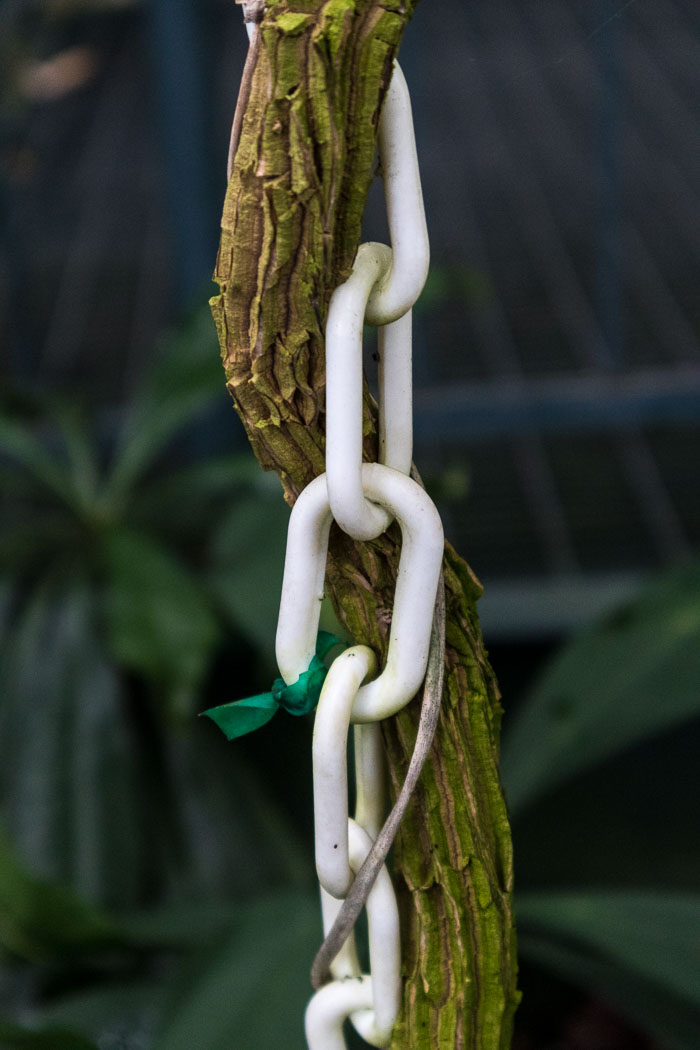 New York Botanical Gardens