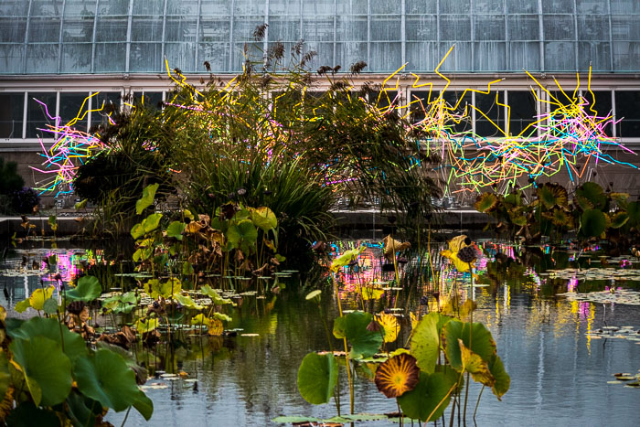 New York Botanical Gardens