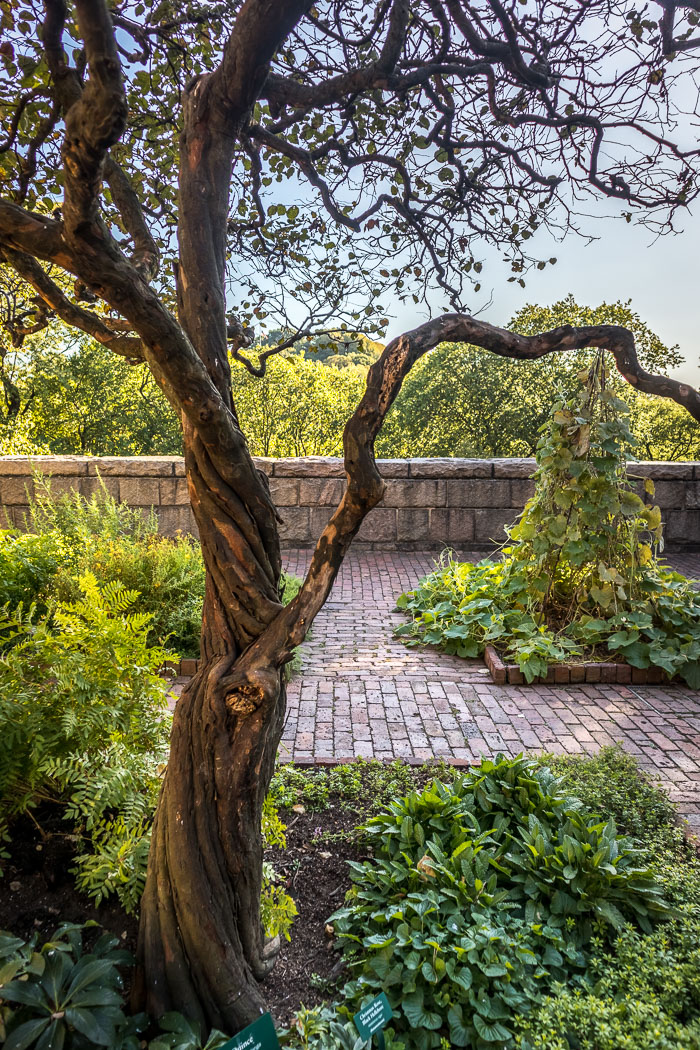 The Cloisters