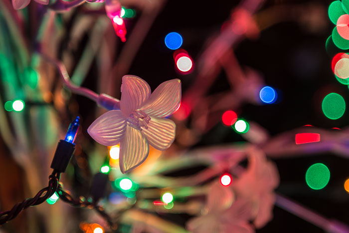 Holiday Lights