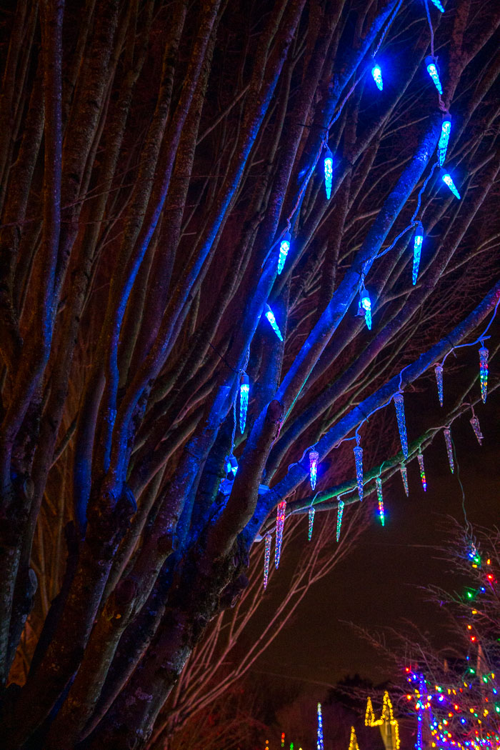 Holiday Lights