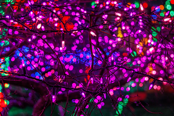 Holiday Lights Holiday Lights