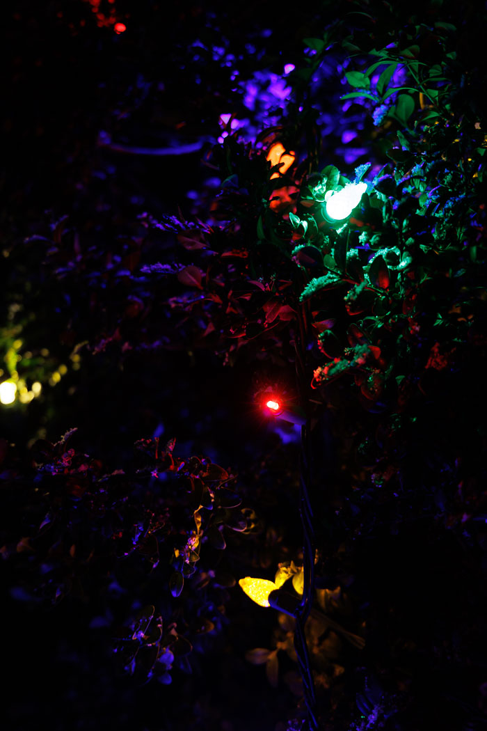 Holiday Lights