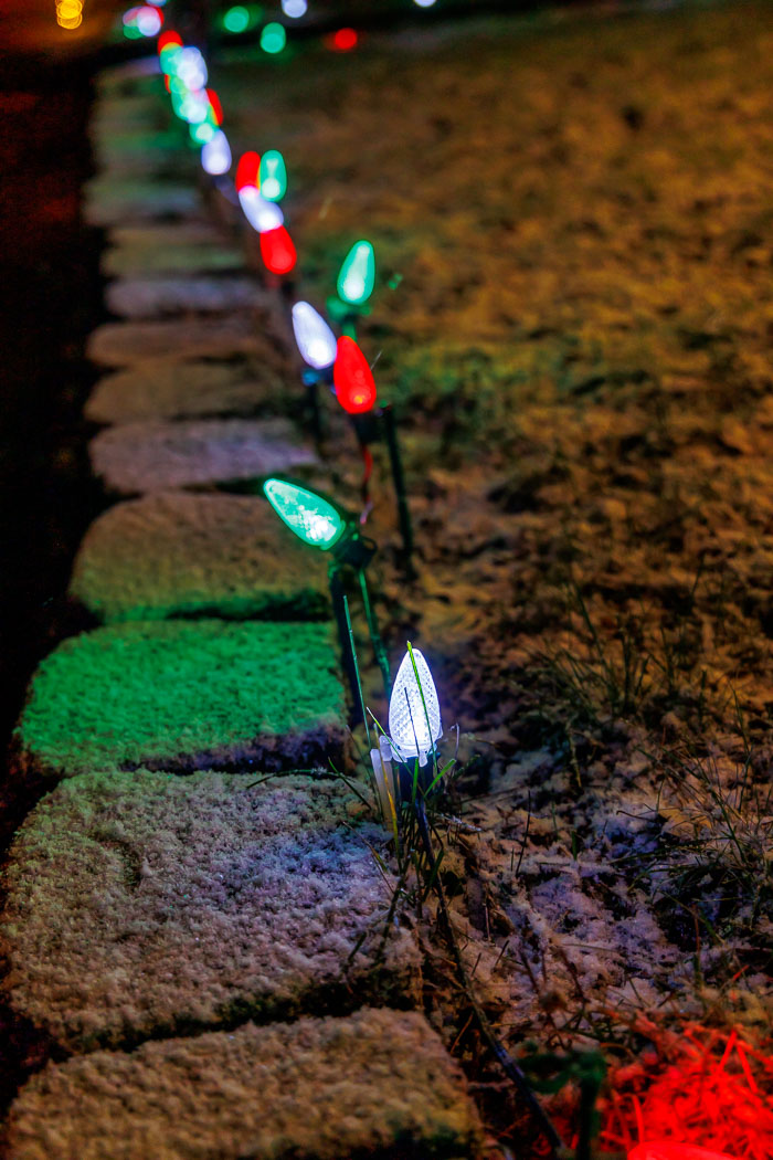 Holiday Lights