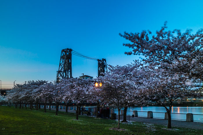 Portland After Dark Portland After Dark
