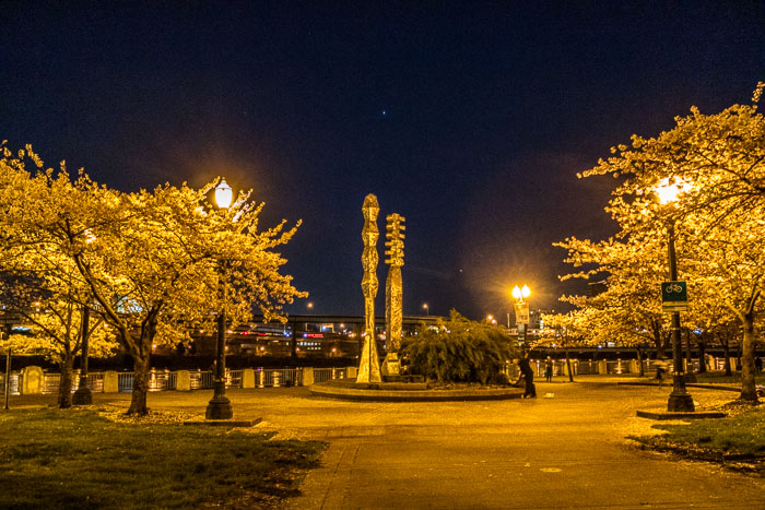 Portland After Dark