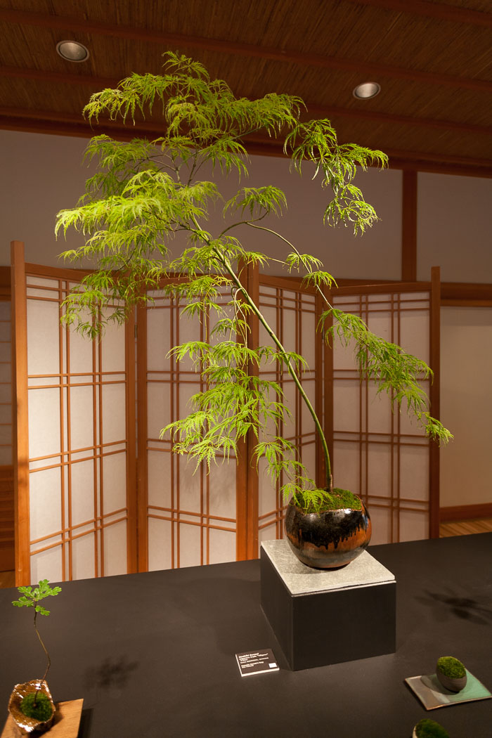 Portland Japanese Gardens