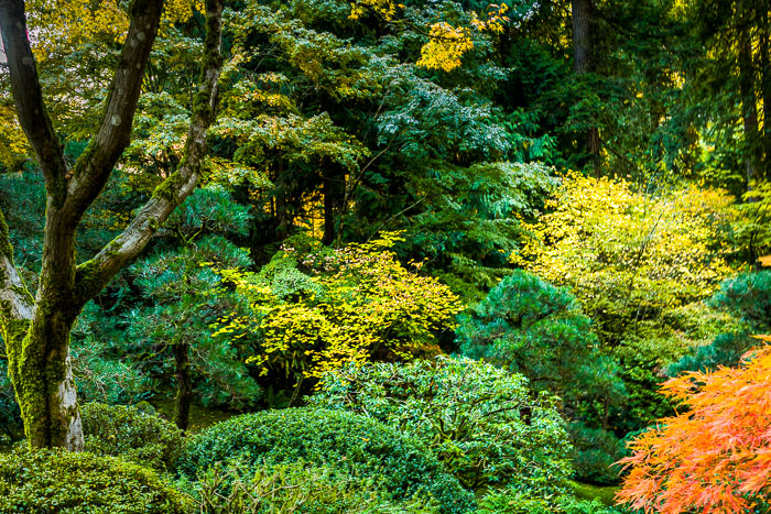 Portland Japanese Gardens