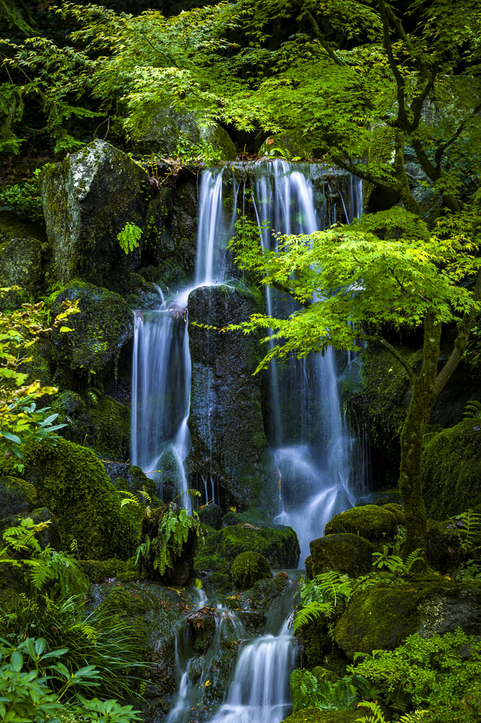 Portland Japanese Gardens