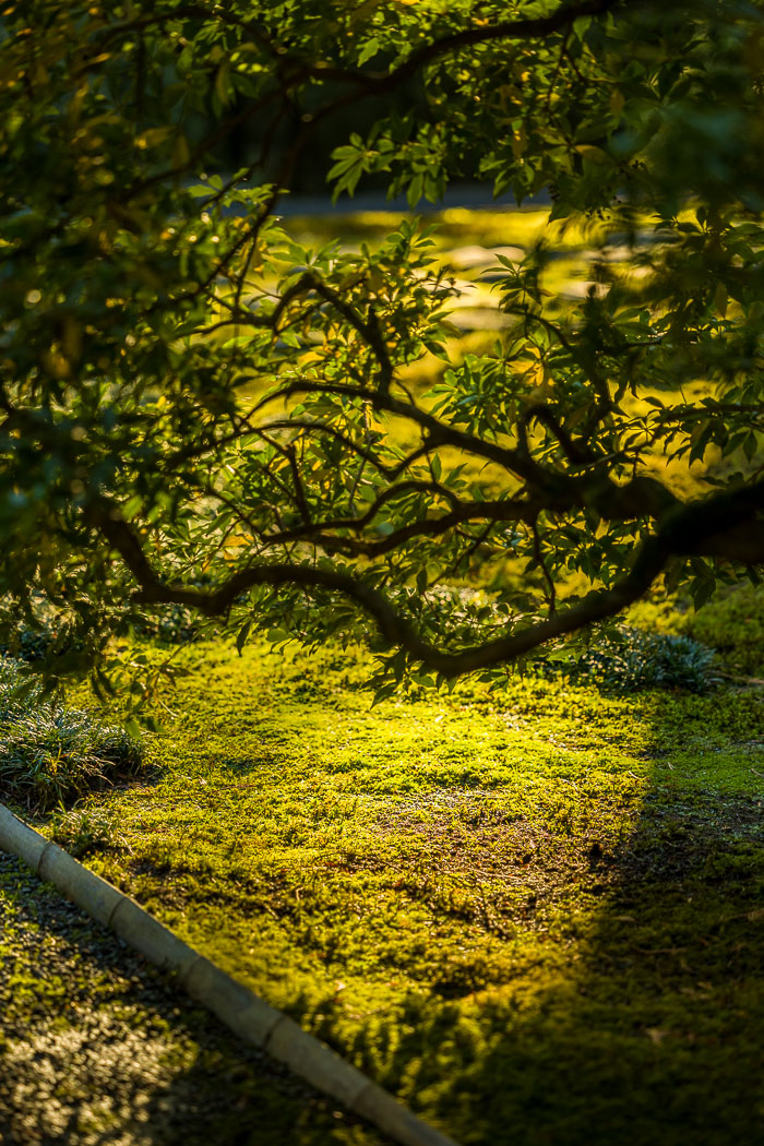 Portland Japanese Gardens