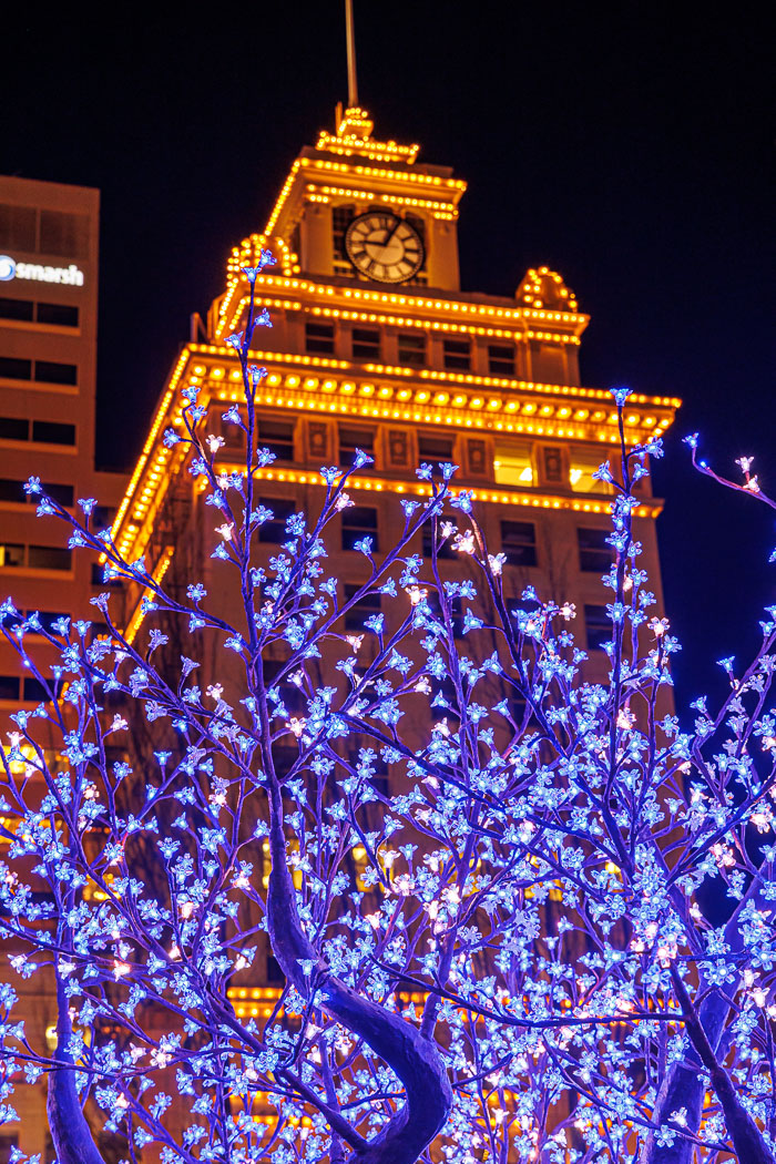 PDXlights