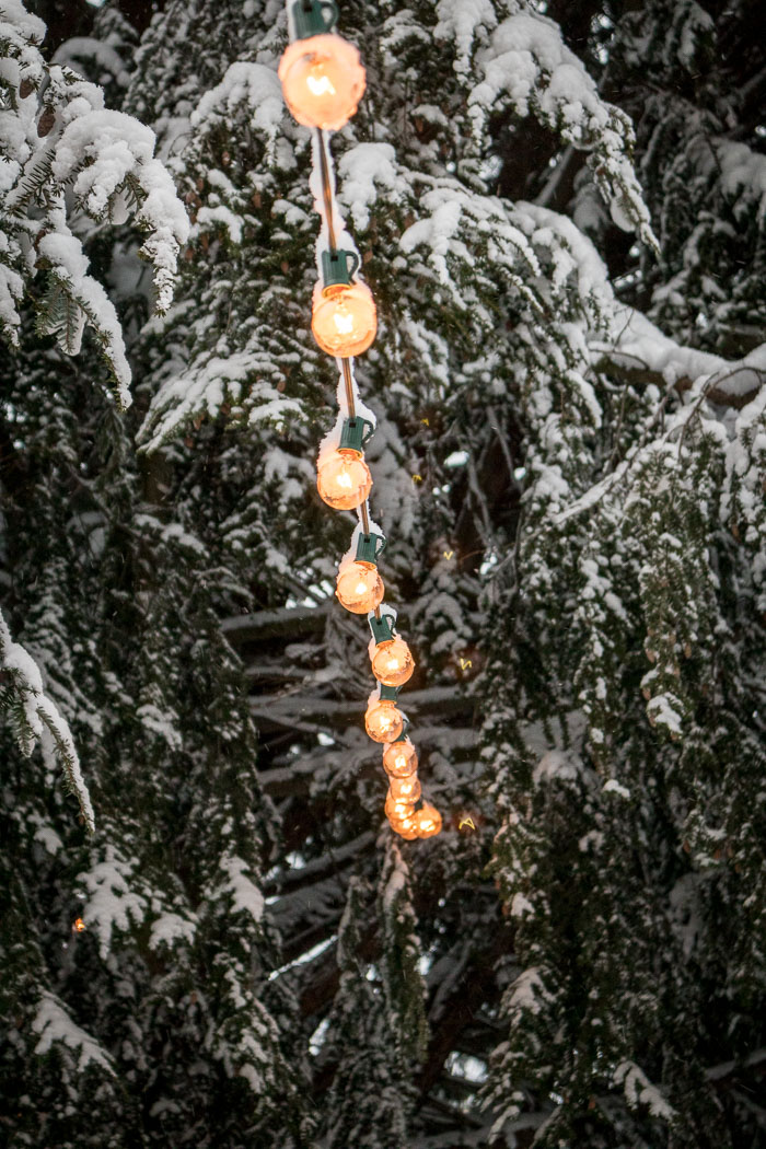 Snowlandia