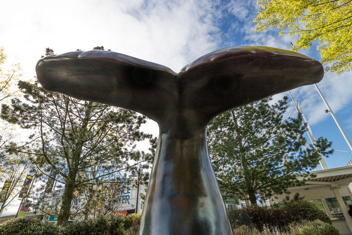 Seattle Center and Pacific Science Center