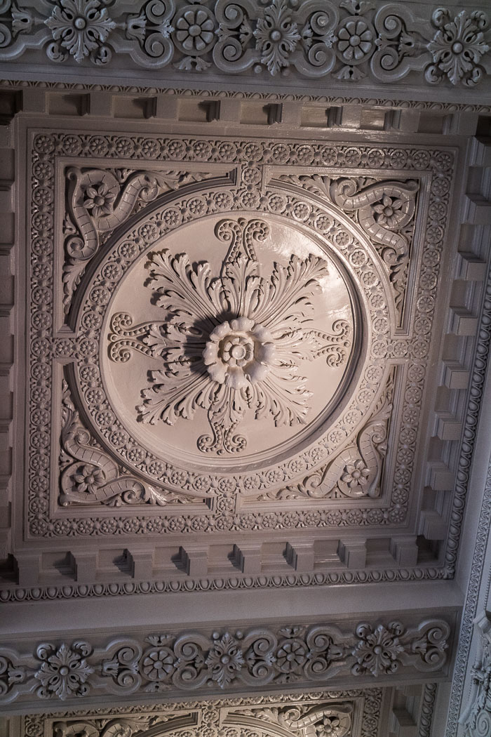 Seattle Photo Safari