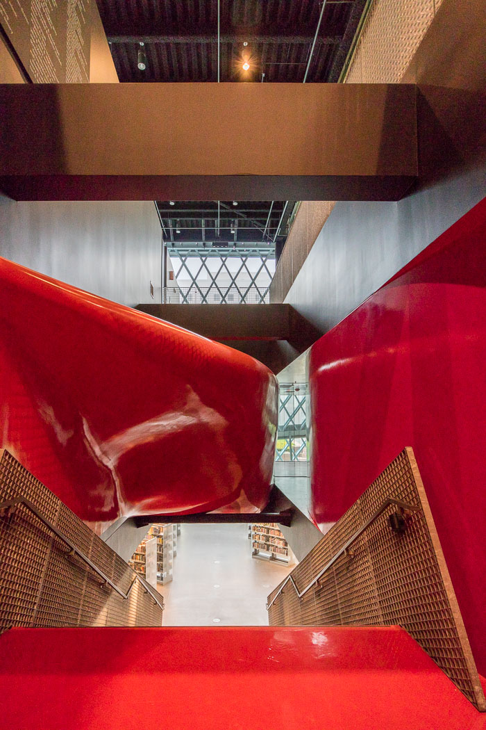 Seattle Photo Safari