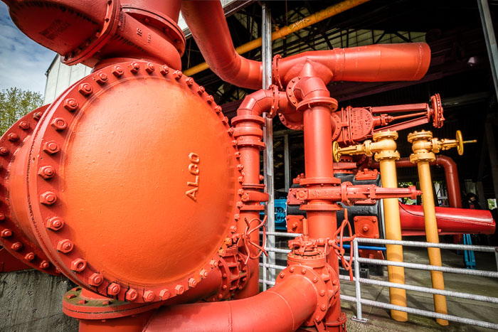 Seattle Photo Safari