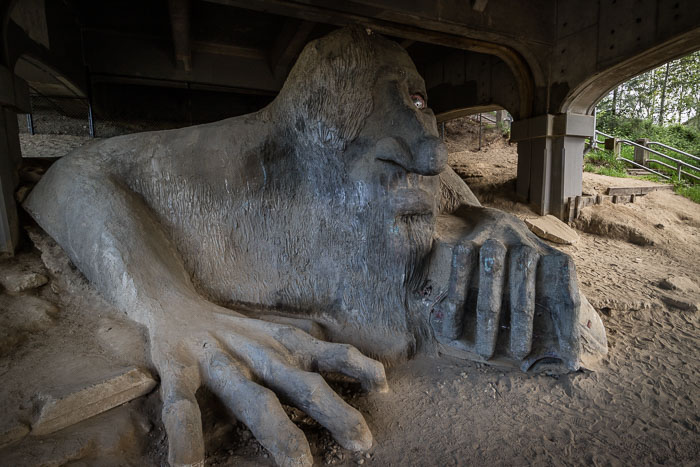 Seattle Photo Safari