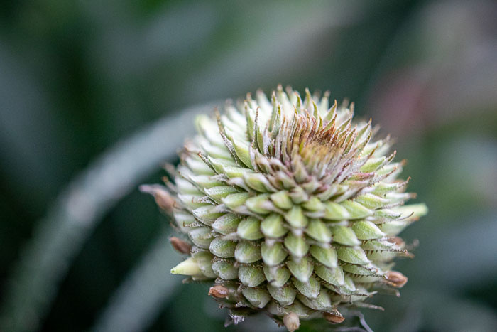 Seattle Photo Safari