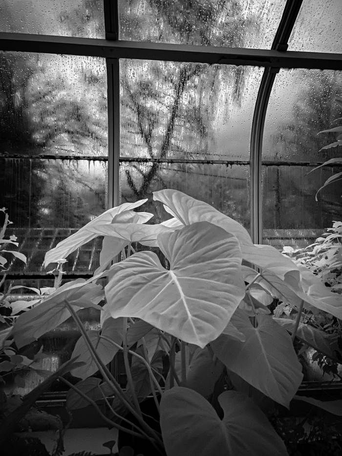 Seattle Photo Safari