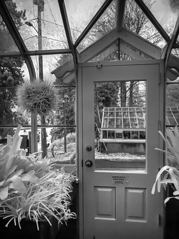 Seattle Photo Safari