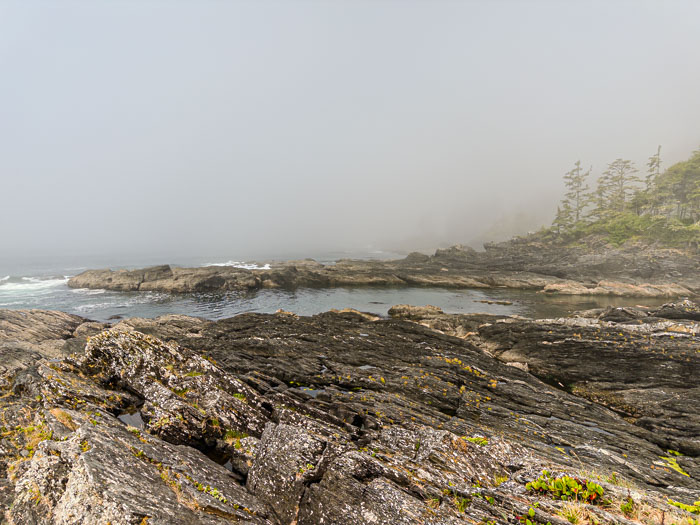 Botanical Beach