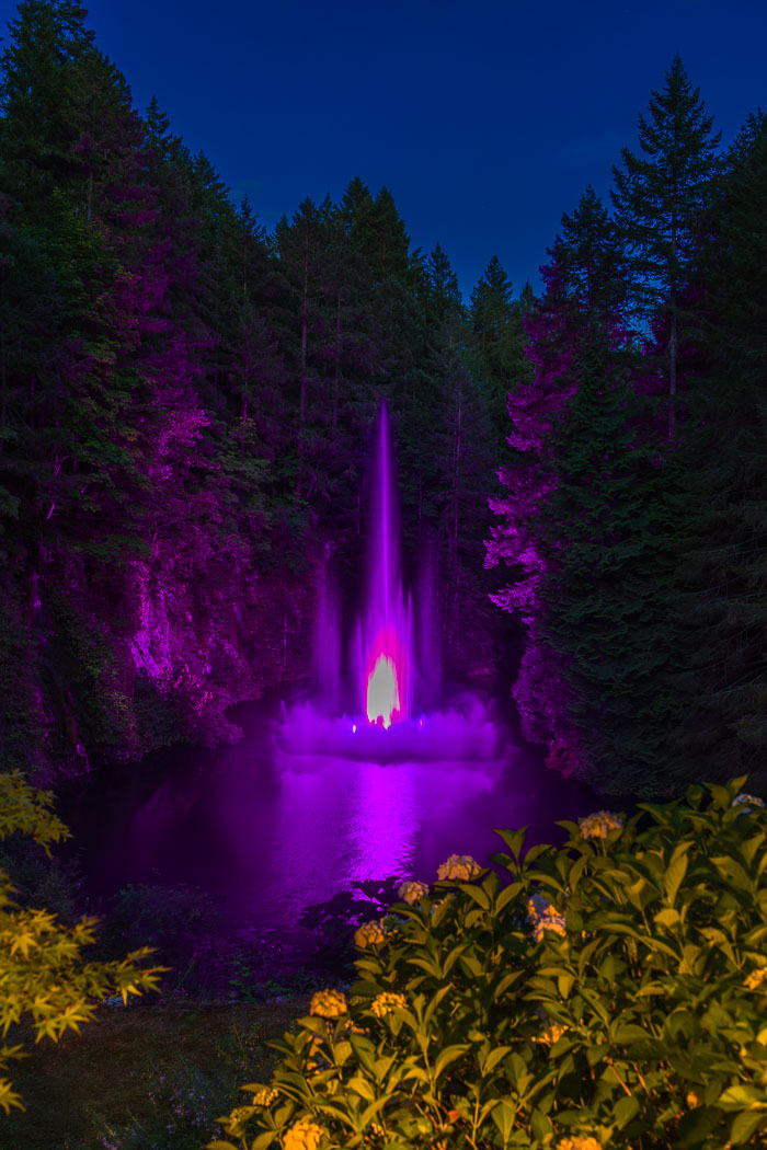 Buchart Gardens After Dark