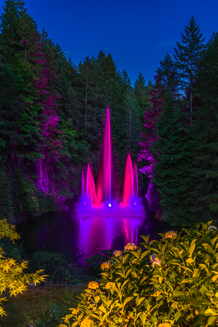 Buchart Gardens After Dark