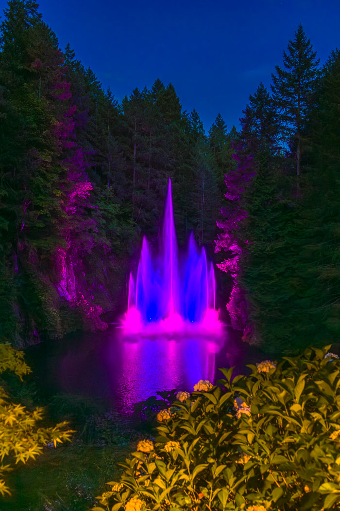 Buchart Gardens After Dark
