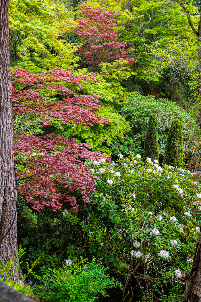 Buchart Gardens