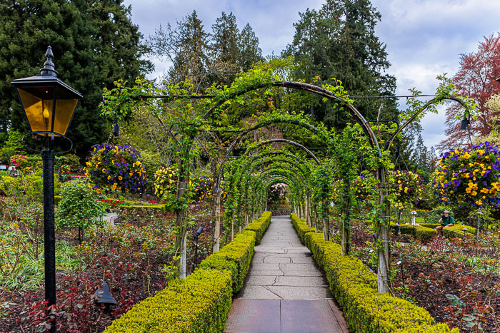 Buchart Gardens