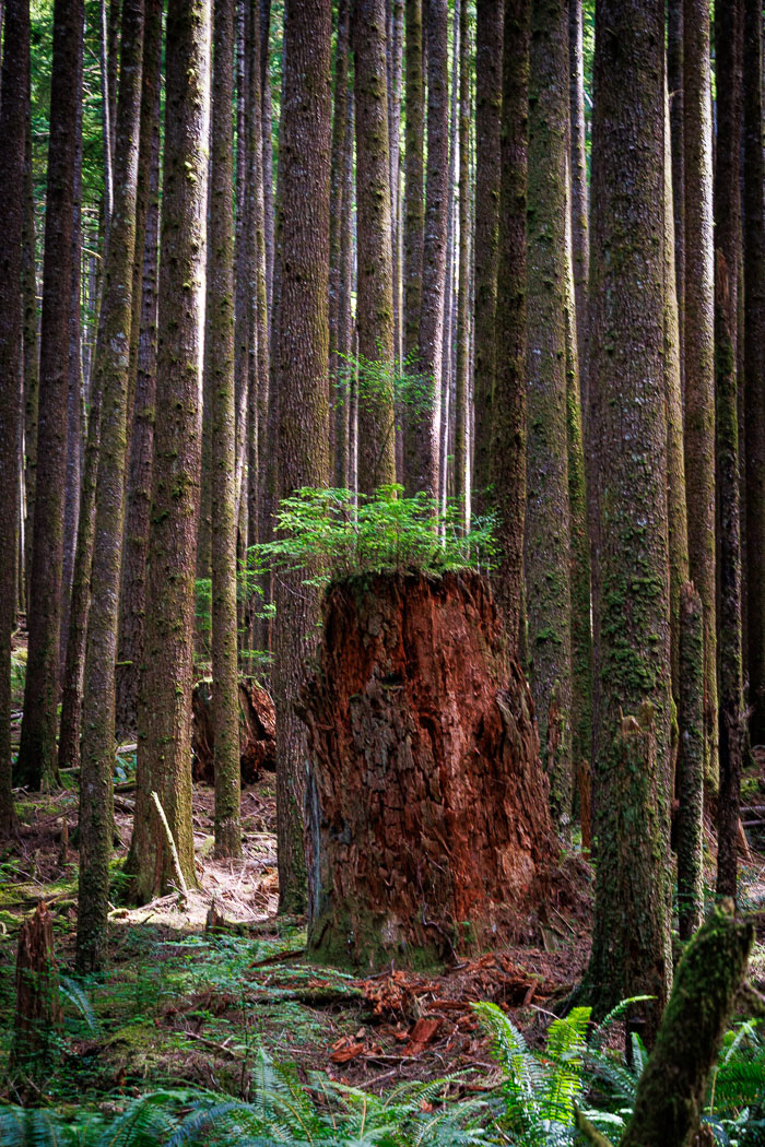 Quadra Island Paddle