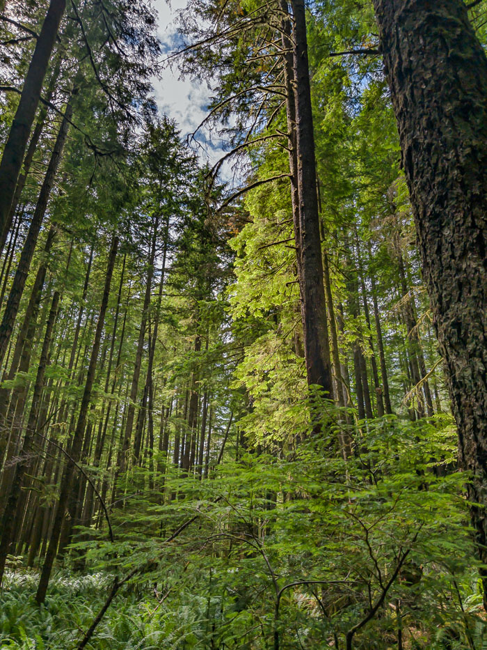 Quadra Island Paddle