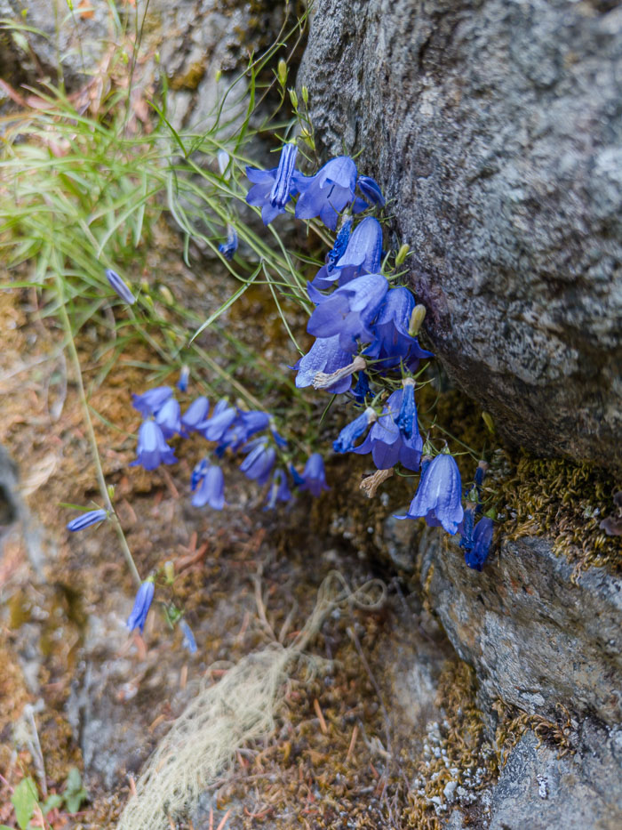 Sooke Potholes Provincial Park