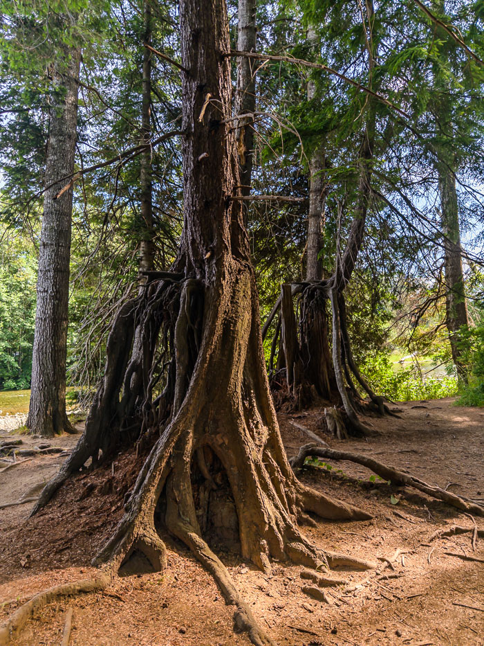 Vancouver Island Out and About