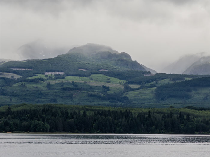 Vancouver Island Out and About