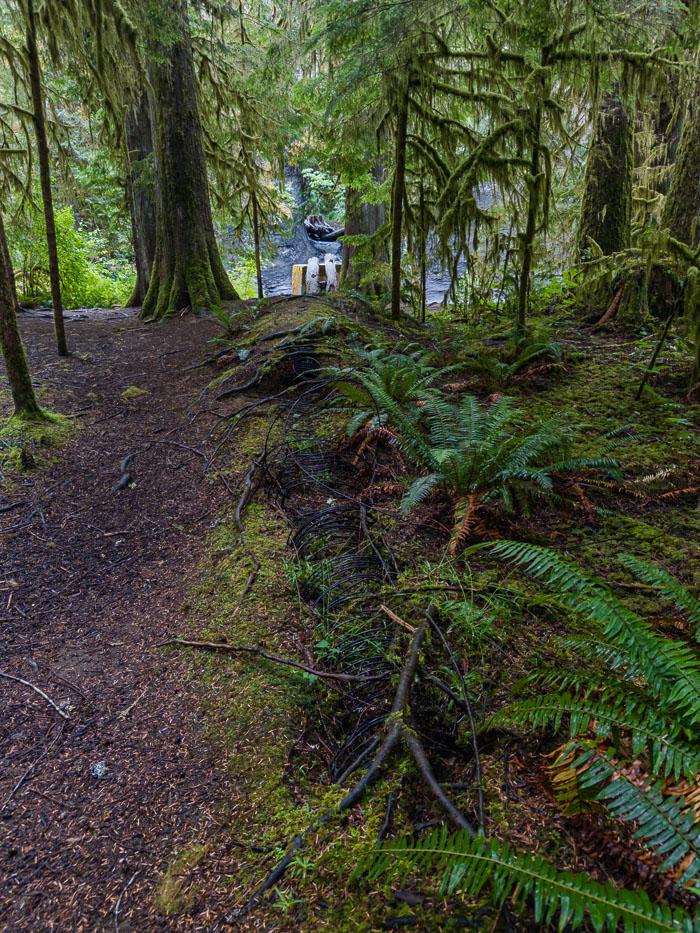 Vancouver Island Out and About