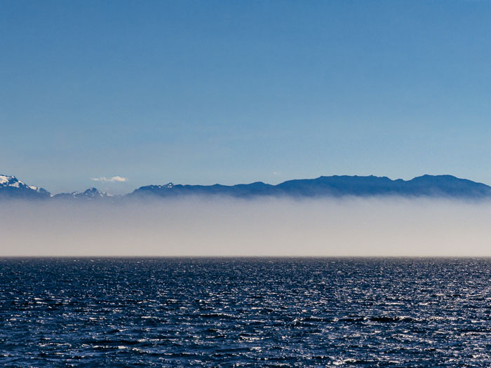 Vancouver Island Out and About