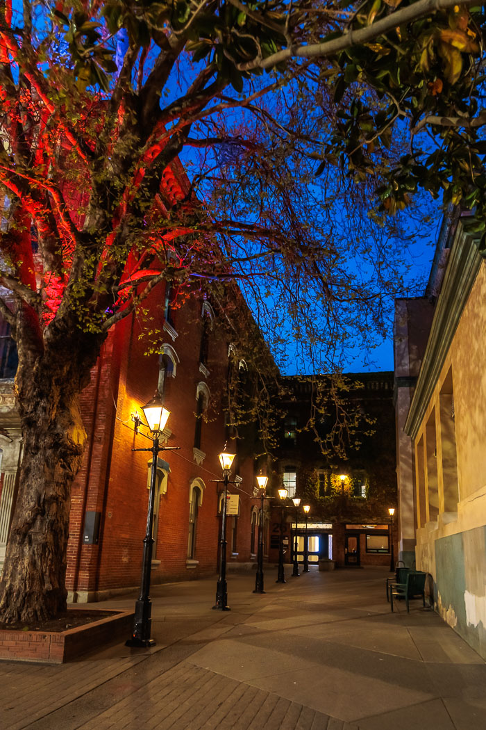 Victoria After Dark Victoria After Dark