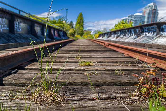 Victoria Downtown and Chinatown