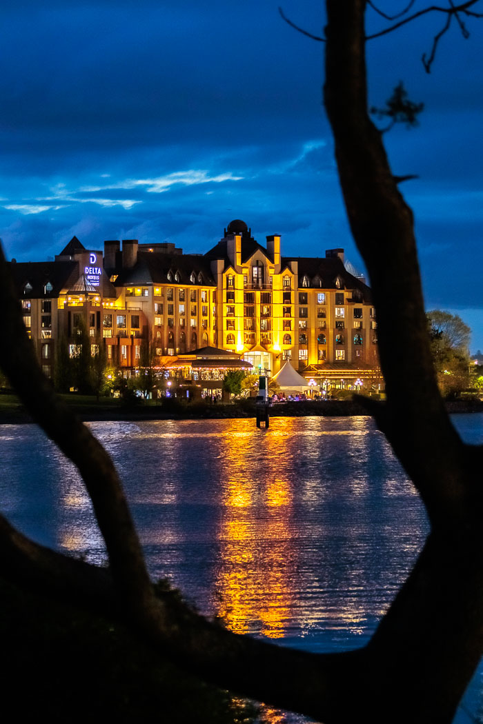 Victoria Harbor After Dark