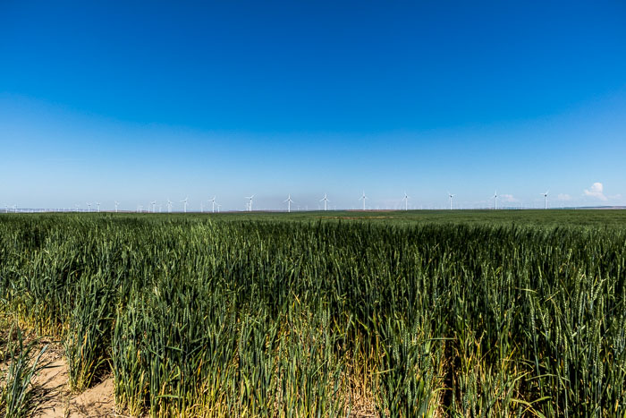 John Day Fossil Beds