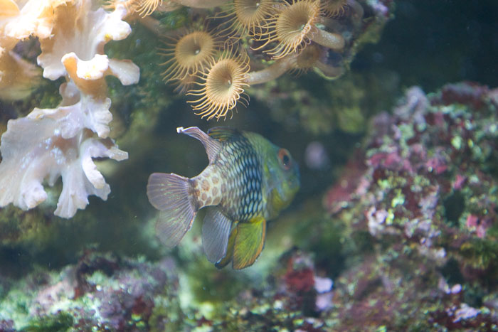 Vancouver Aquarium