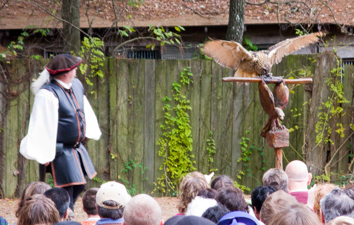 Texas Renaissance Festival